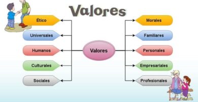 Lista y clasificación de los valores