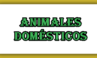 ANIMALES DOMESTICOS