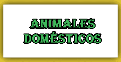 ANIMALES DOMESTICOS