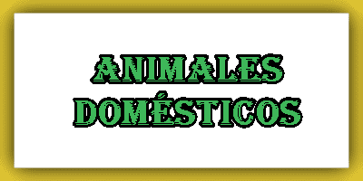 ANIMALES DOMESTICOS