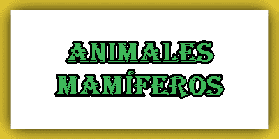 Lista de Animales mamíferos