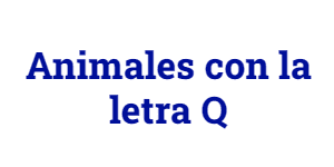 Animales con la letra Q