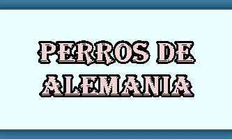 Perros de Alemania