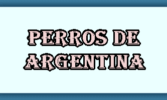 Perros Argentina