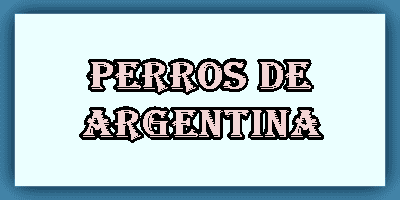Razas de Perros Argentinos
