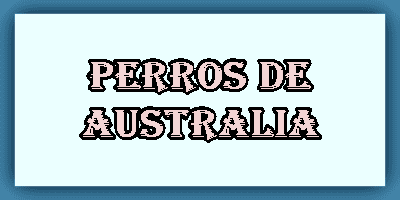 Razas de perros de Australia