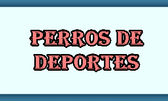 Perros Deportes