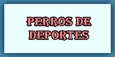 Perros Deportes