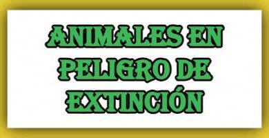lista de Animales en peligro de extincion