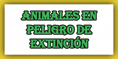 Animales en peligro de extinción